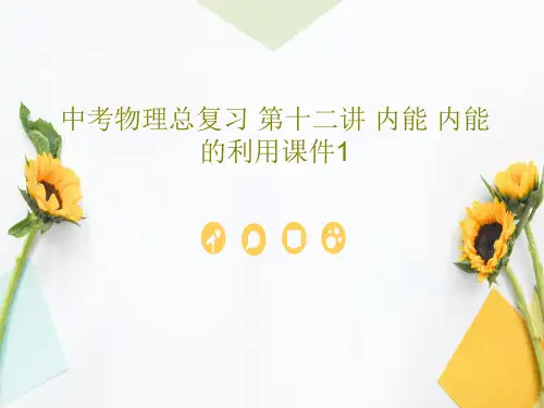 中考物理总复习 第十二讲 内能 内能的利用课件1PPT共50页