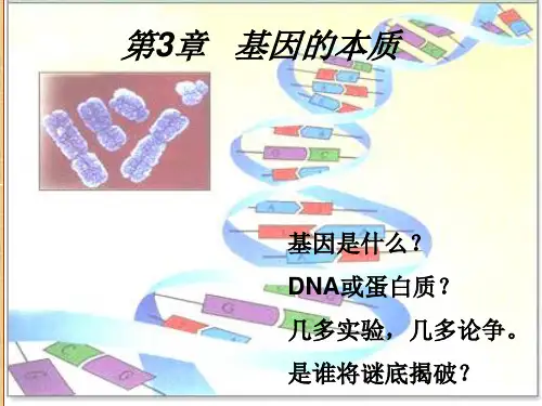 人教版高中生物必修2 DNA是主要的遗传物质 PPT精编版