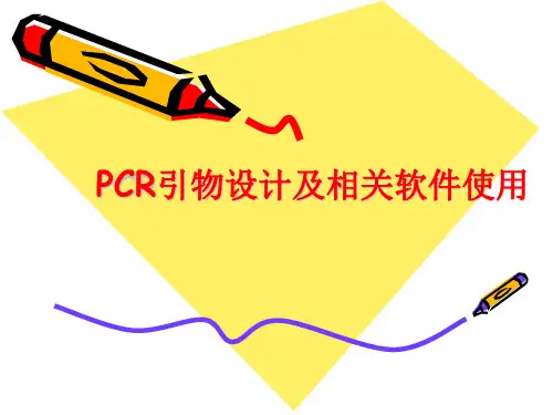 PCR引物设计及PrimerPremier使用介绍