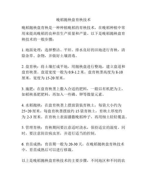 晚稻抛秧盘育秧技术