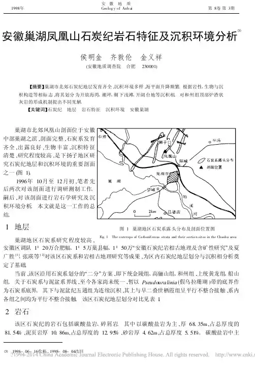 安徽巢湖凤凰山石炭纪岩石特征及沉积环境分析_侯明金