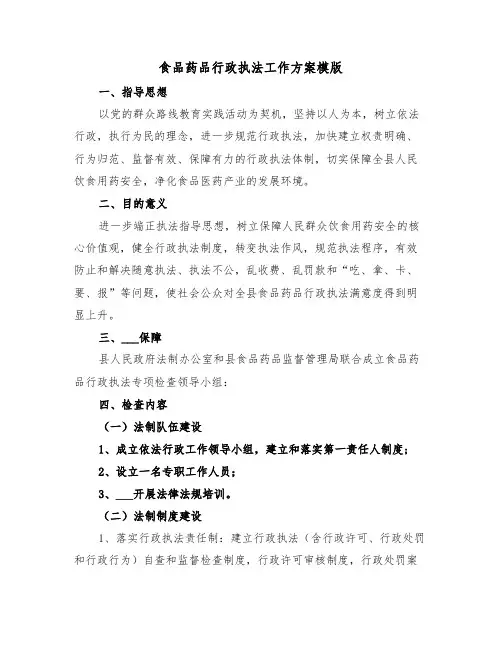 食品药品行政执法工作方案模版(3篇)
