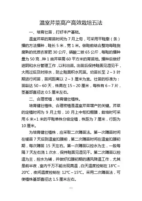 温室芹菜高产高效栽培五法