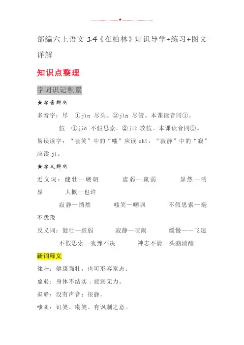 六年级上册语文素材-14《在柏林》知识导学+练习+图文详解 人教部编版