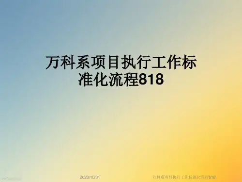 万科系项目执行工作标准化流程818