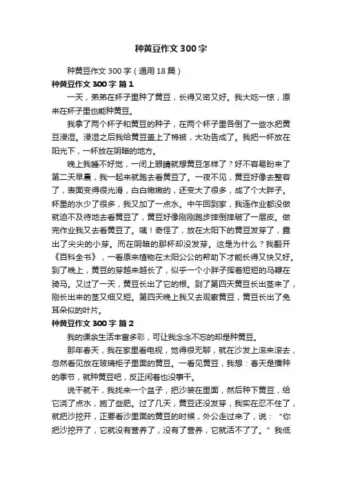 种黄豆作文300字（通用18篇）