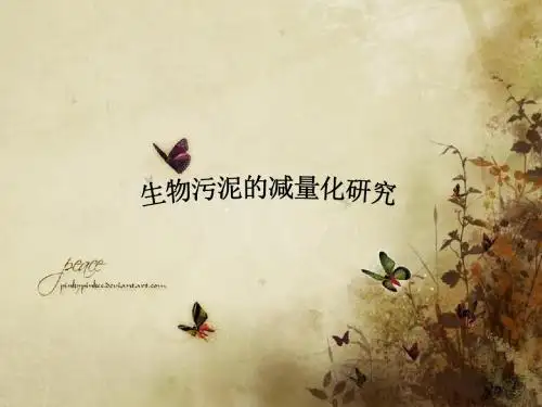 生物污泥的减量化研究综述
