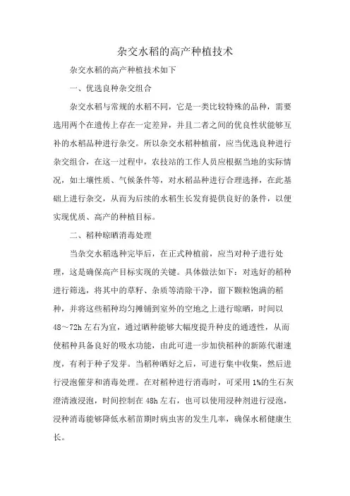 杂交水稻的高产种植技术