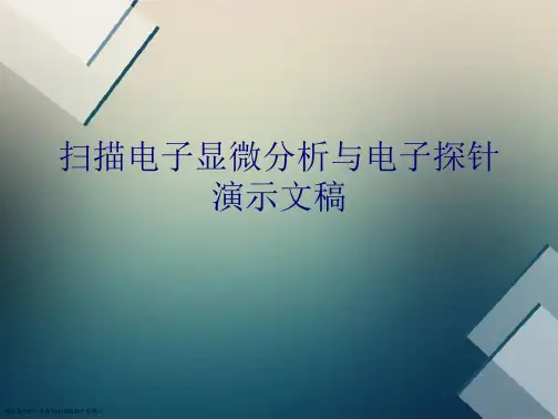 扫描电子显微分析与电子探针演示文稿