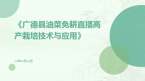 广德县油菜免耕直播高产栽培技术与应用