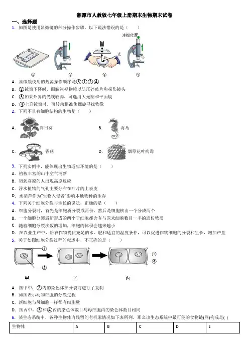 湘潭市人教版七年级上册期末生物期末试卷