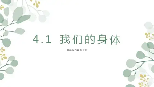 第4.1课我们的身体(课件)五年级科学上册教科版
