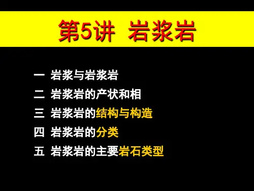 综合地质学岩浆岩岩石学1