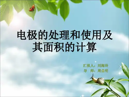 电极的处理和使用及其面积的计算 刘海玲剖析
