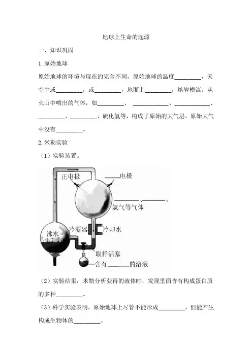 地球上生命的起源 同步练习(含答案)人教版八年级下册