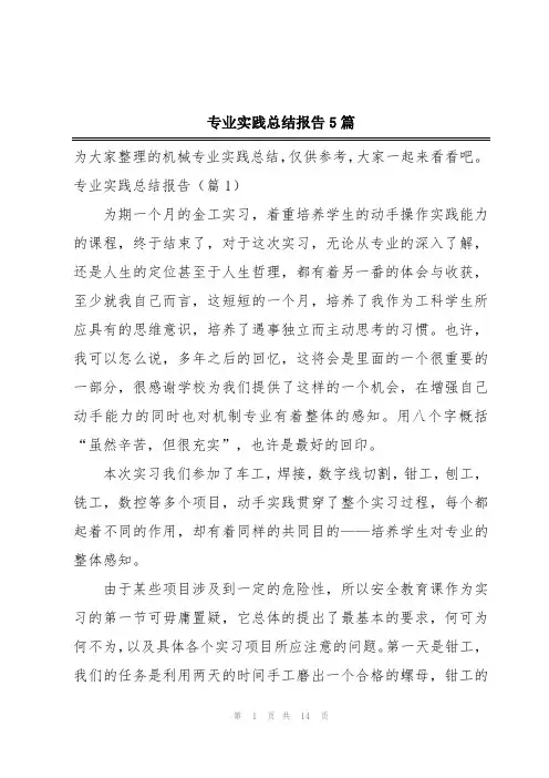 专业实践总结报告5篇