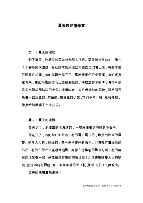 夏天的池塘作文