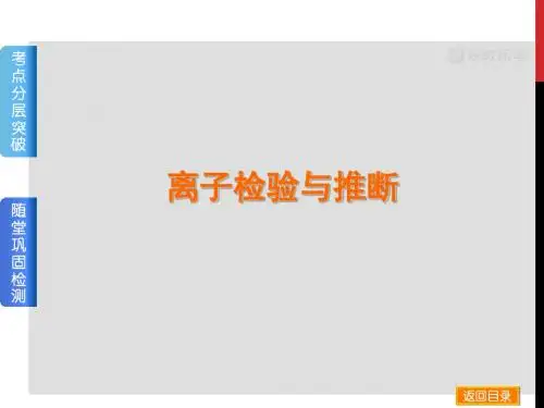 高三化学一轮复习——离子检验与推断(课件+练习)