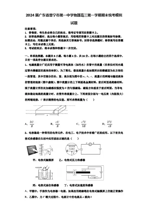 2024届广东省普宁市第一中学物理高三第一学期期末统考模拟试题含解析