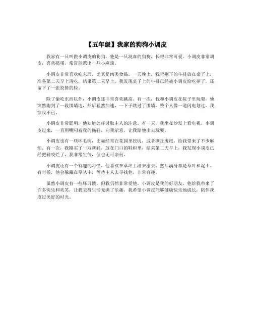 【五年级】我家的狗狗小调皮