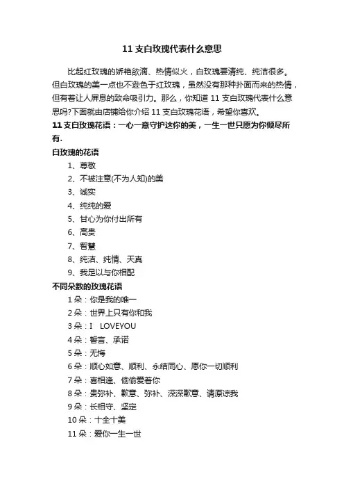 11支白玫瑰代表什么意思