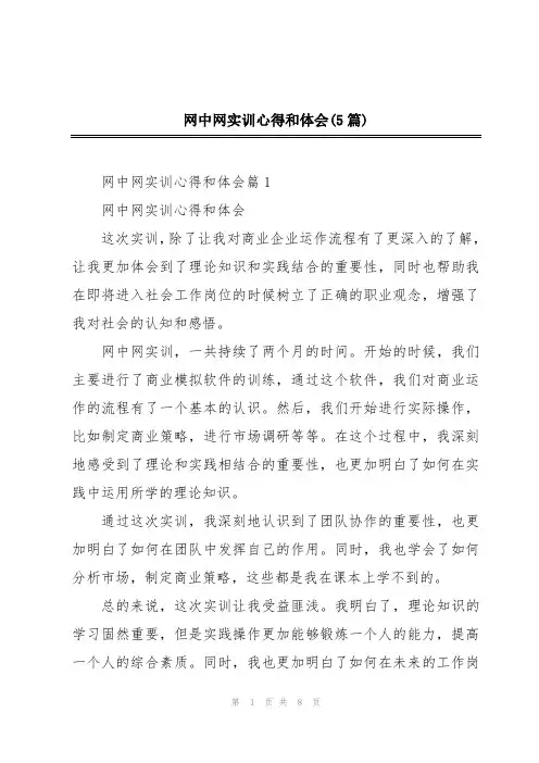 网中网实训心得和体会(5篇)