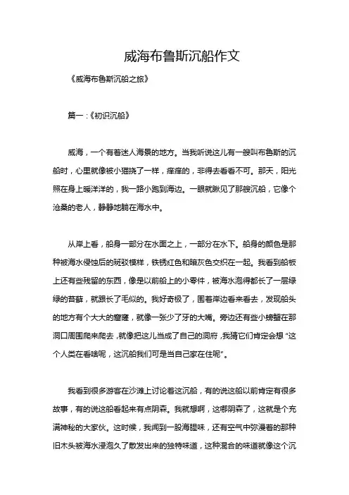 威海布鲁斯沉船作文