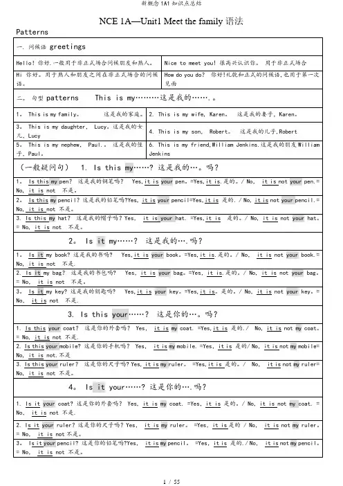 新概念1A1知识点总结