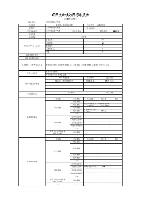 项目支出绩效目标申报表(2)