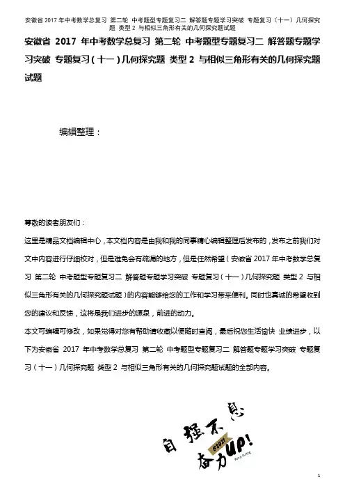 中考数学总复习 第二轮 中考题型专题复习二 解答题专题学习突破 专题复习(十一)几何探究题 类型2