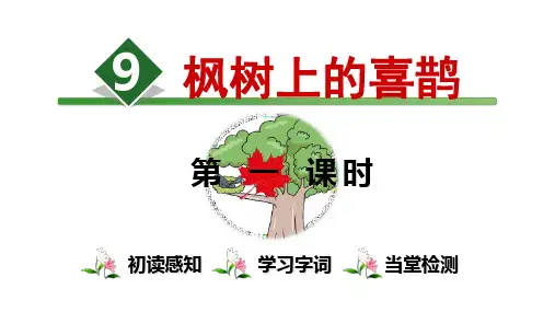 部编版二年级语文(下)PPT《枫树上的喜鹊》完整版课件