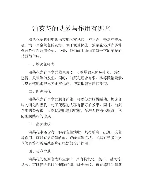 油菜花的功效与作用有哪些