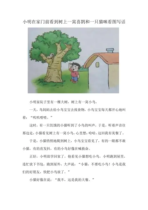 小明在家门前看到树上一窝喜鹊和一只猫咪看图写话