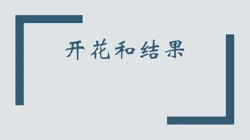 人教版 七年级上册 3. 开花和结果  课件 
