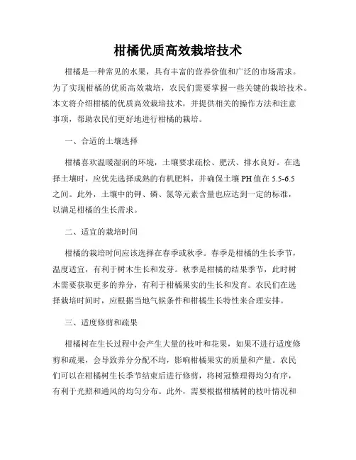 柑橘优质高效栽培技术