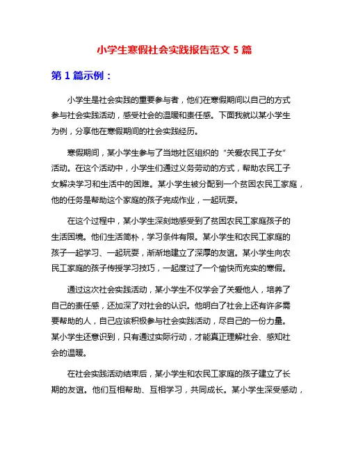 小学生寒假社会实践报告范文5篇