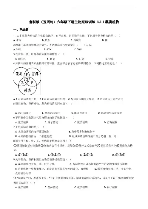 鲁科版(五四制)六年级下册生物跟踪训练 3.1.1藻类植物(解析版)