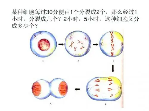 六年级数学上册 2.9《有理数的乘方》课件4 鲁教版五四