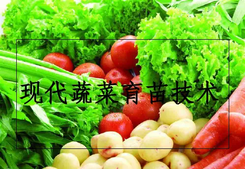 现代蔬菜育苗技术ppt课件