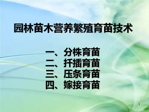 园林绿化苗木繁殖育苗技术分株、扦插、嫁接、压条图片PPT课件