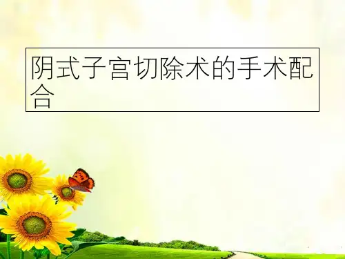 阴式子宫切除术手术配合 PPT