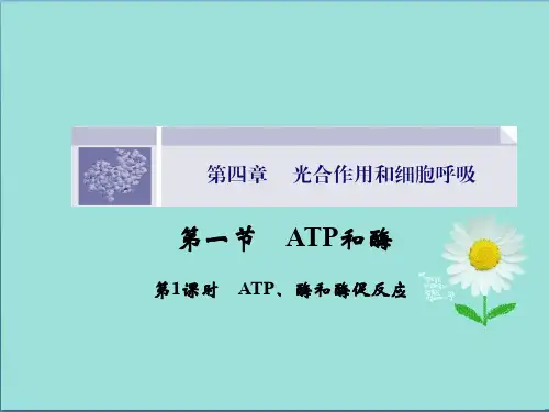 高一生物(苏教版必修1)课件4.1.1《ATP、酶和酶促反应》