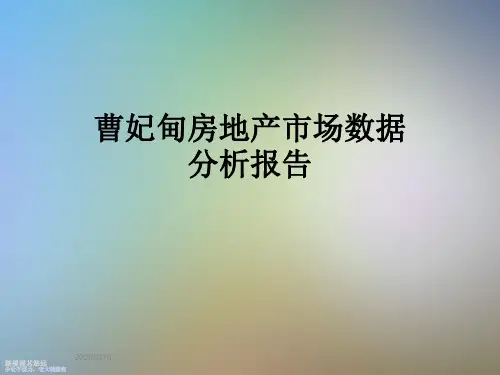 曹妃甸房地产市场数据分析报告