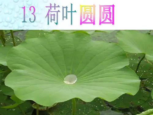 一年级下语文教学课件13《荷叶圆圆》人教部编版PPT(共37页)
