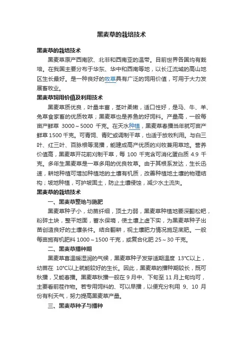 黑麦草的栽培技术