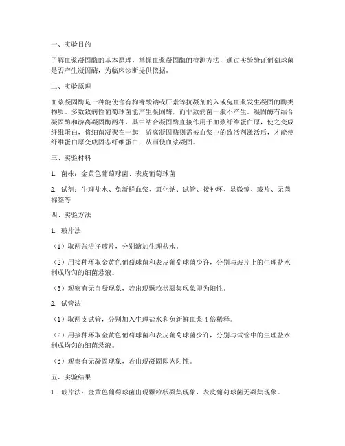 血浆凝固酶实验实验报告