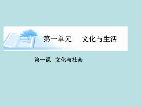 (广东专版)2015届高考政治总复习(深化拓展+易错点拨)第一课 文化与社会课件 新人教版必修3