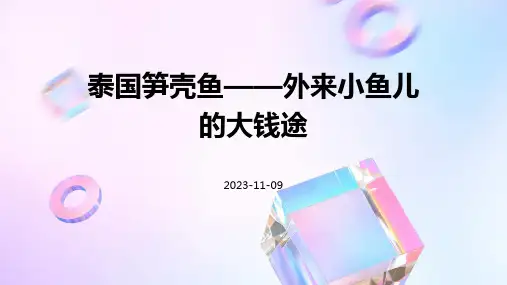 泰国笋壳鱼——外来小鱼儿的大钱途