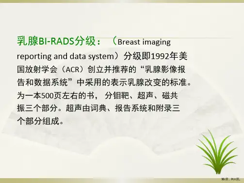 乳腺超声BIRADS分级课件PPT22页