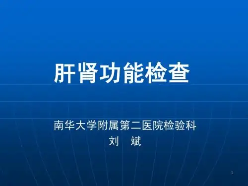 肝肾功能检查